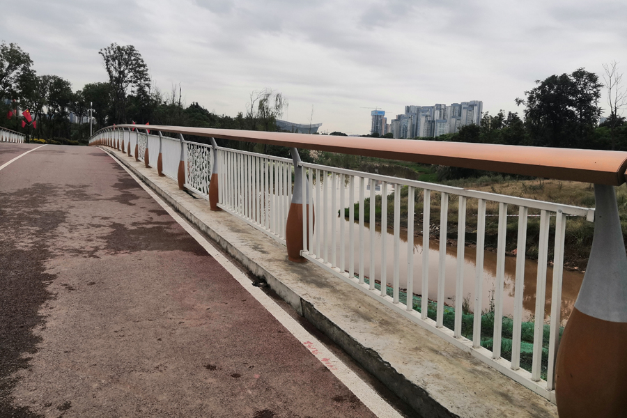 四川遂宁桥梁景观栏杆