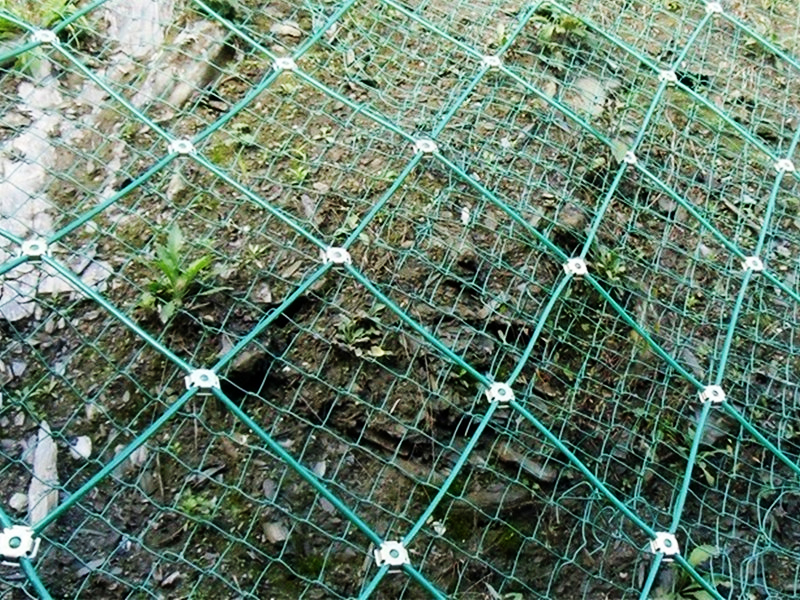 浸塑主动防护网